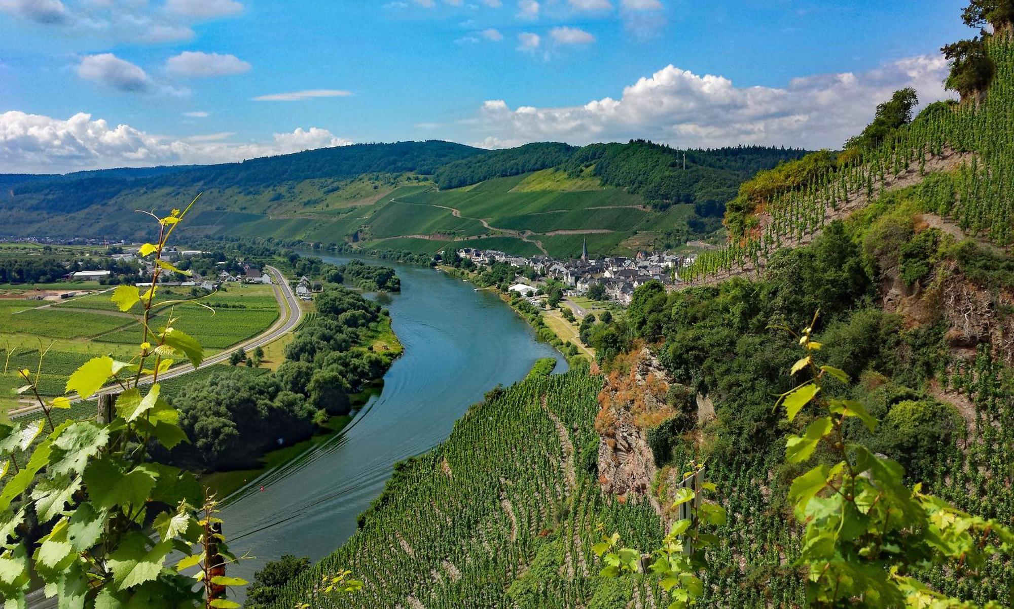 Weingut / Gaestehaus Gerlach Ürzig Dış mekan fotoğraf