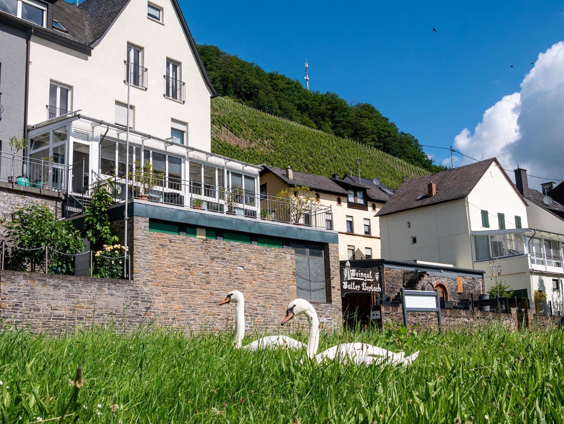 Weingut / Gaestehaus Gerlach Ürzig Dış mekan fotoğraf